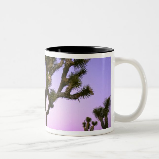 CANECA DE CAFÉ EM DOIS TONS PARQUE NACIONAL JOSHUA TREE, CALIFÓRNIA. EUA. (Direita)