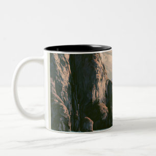 Caneca De Café Em Dois Tons Parque Nacional Kenai Fjords no Trabalho Artístico