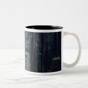 Caneca De Café Em Dois Tons Parque Nacional Skaftafall, Cascata de Svartifoss,