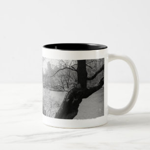 Caneca De Café Em Dois Tons Parque urbano com lago tranquilo