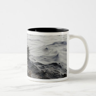 Caneca De Café Em Dois Tons Parte de um liso de óleo no Golfo do México