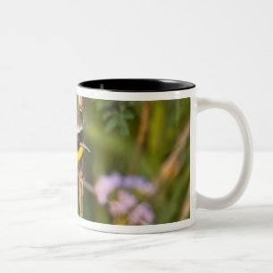 Caneca De Café Em Dois Tons Pássaro-de-garganta-amarela-comum (Geothlypis tric