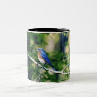 Caneca De Café Em Dois Tons Pássaro do azul de Missouri