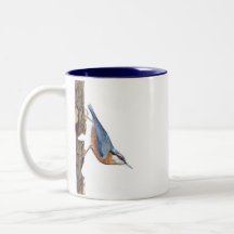 Pássaro Nuthatch da Madeira (Sitta Europaea)