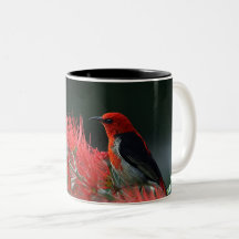 Pássaro Vermelho na Ramificação - Mug Natureza Ele