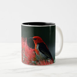 Caneca De Café Em Dois Tons Pássaro Vermelho na Ramificação - Mug Natureza Ele
