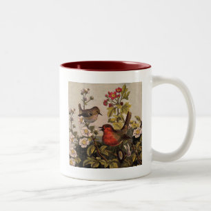 Caneca De Café Em Dois Tons Pássaros Cantores do Robin da Primavera Vintage Bo