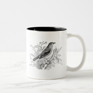 Caneca De Café Em Dois Tons Pássaros retros personalizados pássaro do rouxin