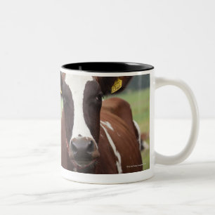 Caneca De Café Em Dois Tons Pastando vacas