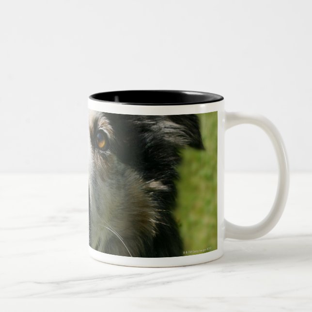 Caneca De Café Em Dois Tons Pastor australiano que sorri na câmera (Direita)