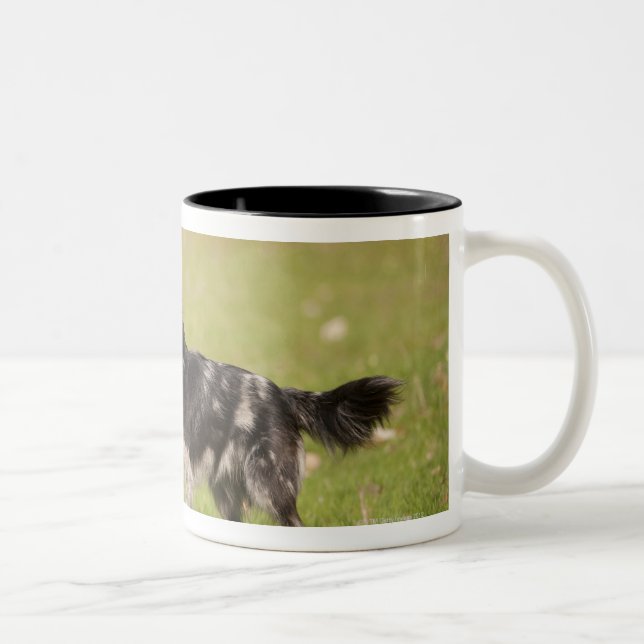 Caneca De Café Em Dois Tons Pastor pirenaico na pose alerta que espera (Direita)