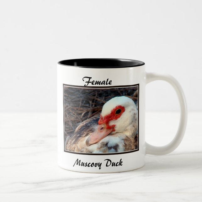 Caneca De Café Em Dois Tons Pato de Muscovy fêmea (Direita)