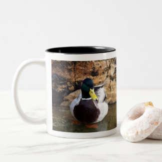 Caneca De Café Em Dois Tons Pato-real-macho