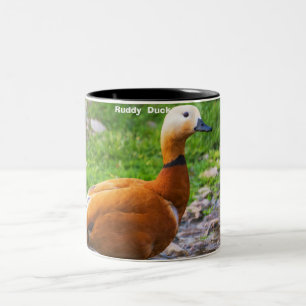 Caneca De Café Em Dois Tons Pato-rústico