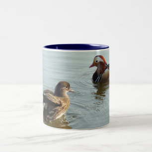 Caneca De Café Em Dois Tons Patos de mandarino de cortejo