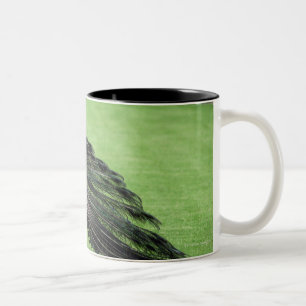 Caneca De Café Em Dois Tons Pavão no campo