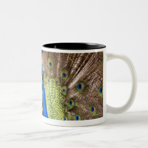 Caneca De Café Em Dois Tons Pavão que indica a plumagem