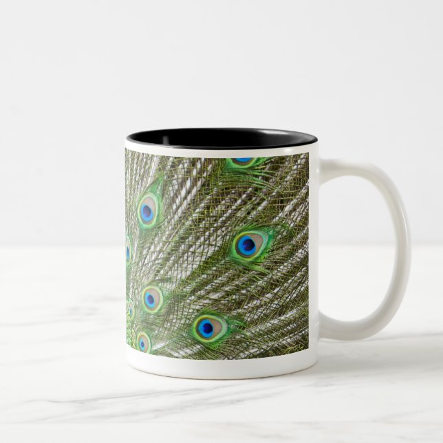 Caneca De Café Em Dois Tons Pavão que mostra suas penas (Direita)