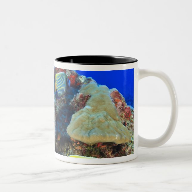 Caneca De Café Em Dois Tons Peixe-anjos-real Pygoplites diacanthus), (Direita)