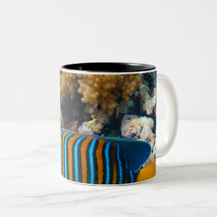 Caneca De Café Em Dois Tons Peixe Colorido Bonito