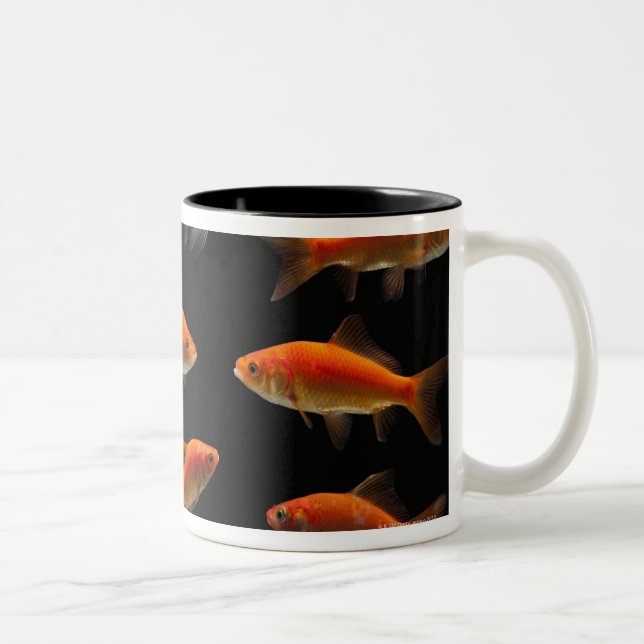 Caneca De Café Em Dois Tons Peixe dourado 2 (Direita)