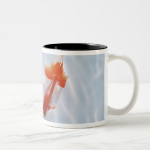 Caneca De Café Em Dois Tons Peixe dourado 5