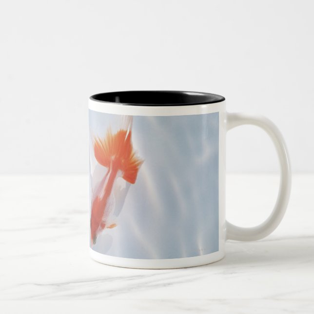 Caneca De Café Em Dois Tons Peixe dourado 5 (Direita)