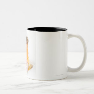 Caneca De Café Em Dois Tons Peixe dourado (auratus do Carassius)