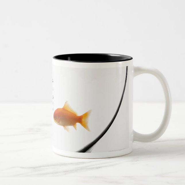 Caneca De Café Em Dois Tons Peixe dourado na bacia (Direita)