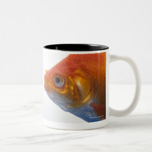 Caneca De Café Em Dois Tons Peixe dourado na bacia no fundo branco