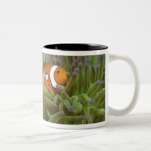 Caneca De Café Em Dois Tons Peixe-palheiro ocidental ( Amphiprion ocellaris )