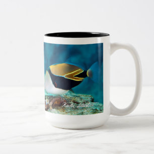 Caneca De Café Em Dois Tons Peixes do estado de Havaí, Humuhumunukunukuapua'a