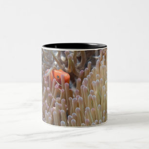 Caneca De Café Em Dois Tons peixes do palhaço