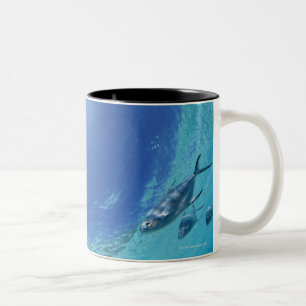 Caneca De Café Em Dois Tons Peixes no mar