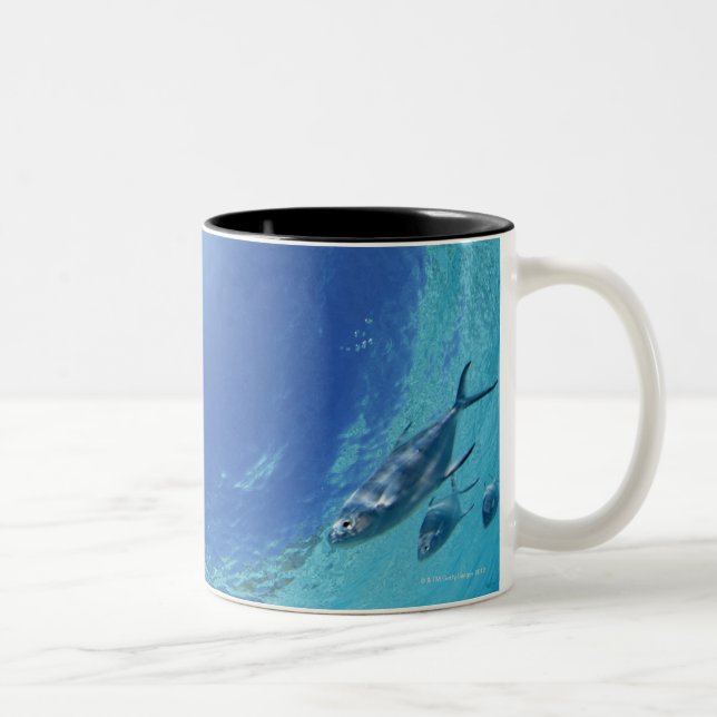Caneca De Café Em Dois Tons Peixes no mar (Direita)