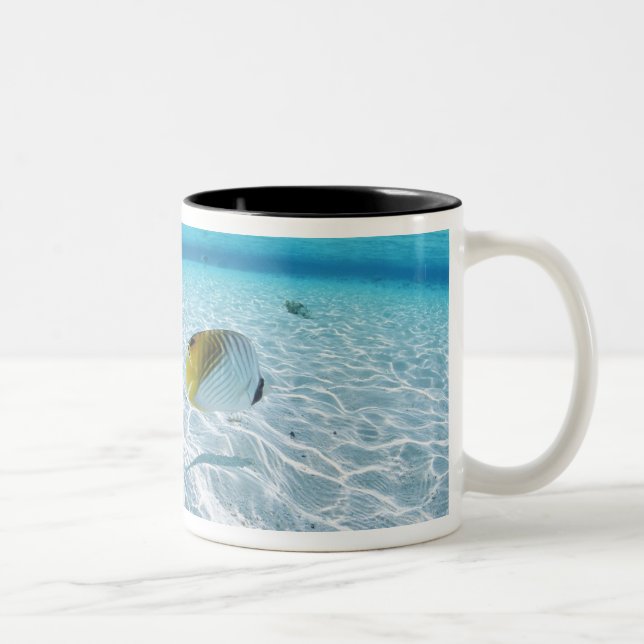 Caneca De Café Em Dois Tons Peixes no mar 2 (Direita)