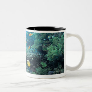 Caneca De Café Em Dois Tons Peixes tropicais que nadam sobre o recife