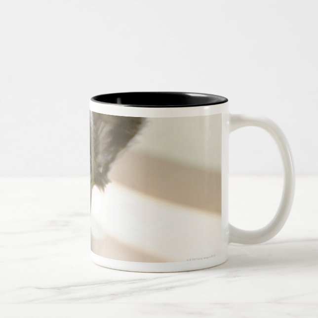 Caneca De Café Em Dois Tons Peki-Francês (Direita)
