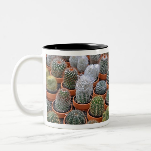 Caneca De Café Em Dois Tons Pequenas plantas de cacto (Esquerda)