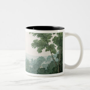 Caneca De Café Em Dois Tons Perto de Washfield, Devon