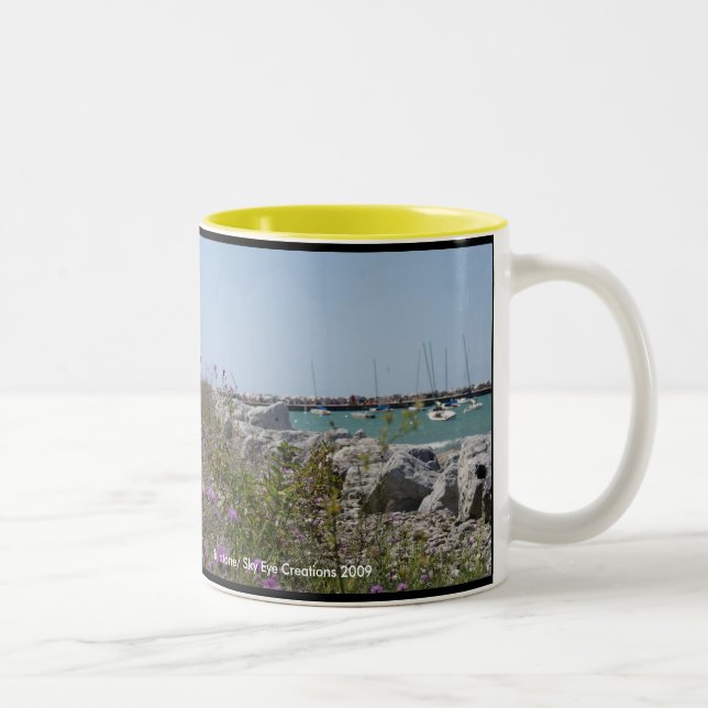 Caneca De Café Em Dois Tons Petoskey Michigan (Direita)