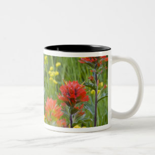 Caneca De Café Em Dois Tons Pincel e flores silvestres de biscoitos da Índia
