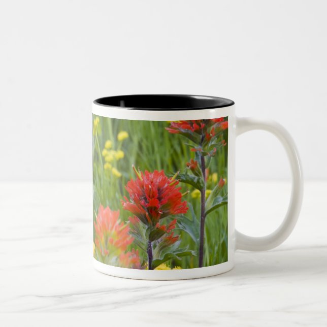 Caneca De Café Em Dois Tons Pincel indiano e flores silvestres de biscuitroot (Direita)