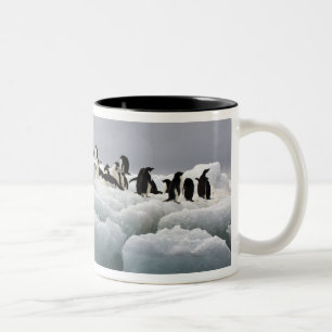Caneca De Café Em Dois Tons Pinguim-de-adélia Pygoscelis adeliae),