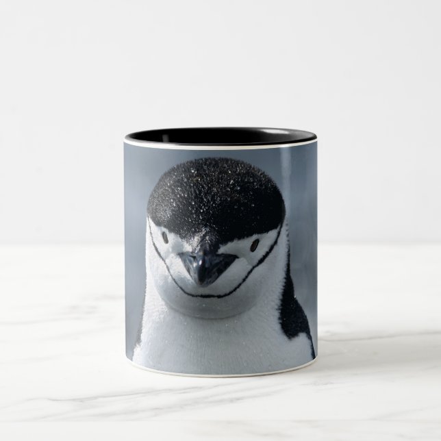 Caneca De Café Em Dois Tons Pinguim de Chinstrap (Centro)
