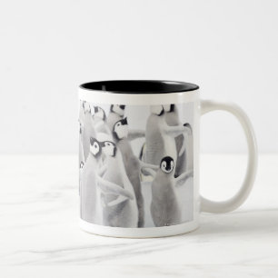 Caneca De Café Em Dois Tons Pinguim de imperador