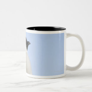 Caneca De Café Em Dois Tons Pinguim de imperador do bebê, ilha do monte da
