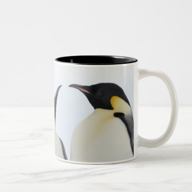 Caneca De Café Em Dois Tons Pinguim de imperador (forsteri do Aptenodytes) (Direita)
