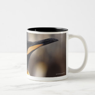 Caneca De Café Em Dois Tons Pinguim de rei (patagonicus do Aptenodytes)