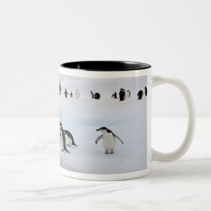 Caneca De Café Em Dois Tons Pinguins-de-barbicha